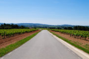 Cycling tour of Barcelona, routes by bicycle, visit cavas and wineries