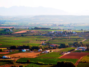 visit wineries and cellars by bike 