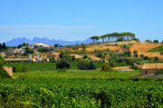 classic penedes bike tour, Road Bike Rentals Barcelona| Hire & Rent a Bicycle.