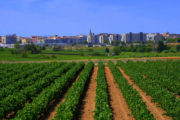 INLAND SOUTH CATALONIA Bike Tour Specialized | Bike Barcelona Wine and Cava in Penedes.