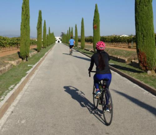 Bike Tours Barcelona, al Penedès