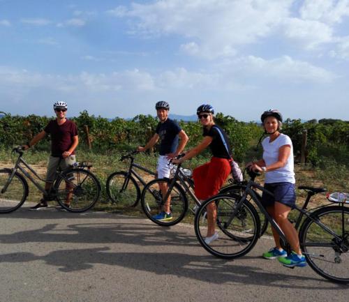 Bike Tours Barcelona, al Penedès