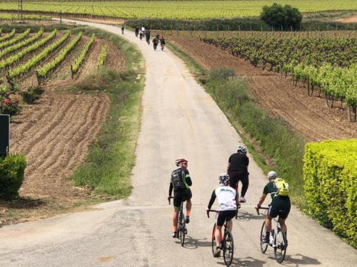 Lloguer bicicletes de carretera Specialized Penedès - Barcelona