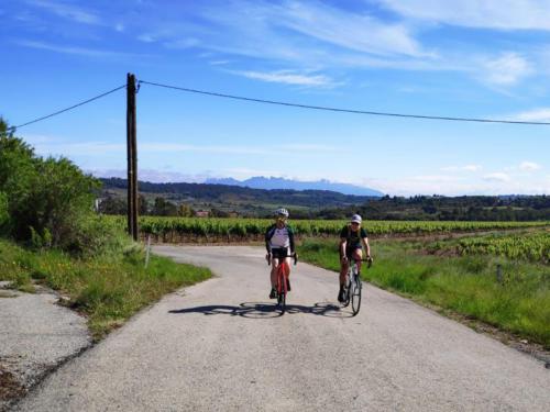 Lloguer bicicletes de carretera Specialized Penedès - Barcelona